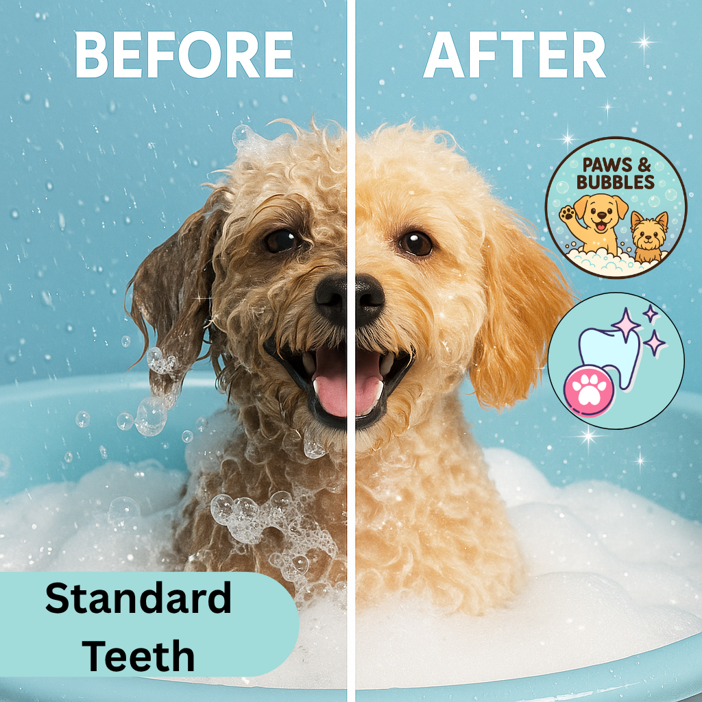 Standard Teeth Wash Package